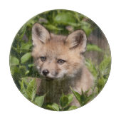 Planche À Découper Cutest Baby Animals | Fox Kit (Devant)