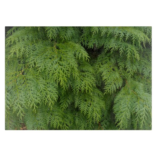 Planche À Découper Cypress (Devant)