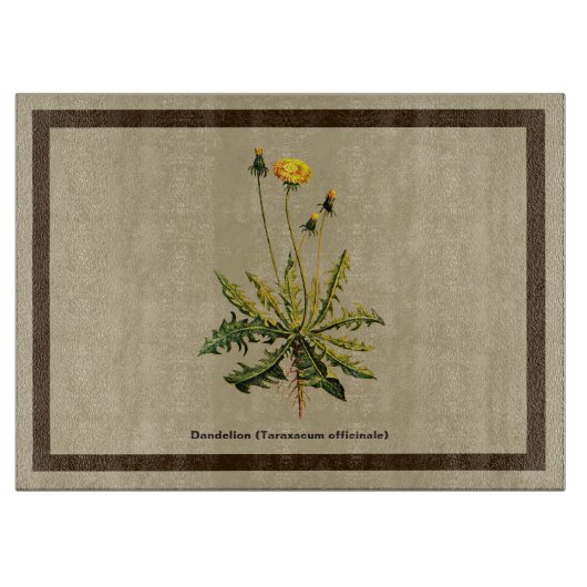 Planche À Découper Dandelion Sur Vieux Papier (Devant)