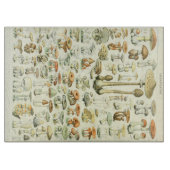 Planche à découper de champignons (Devant)