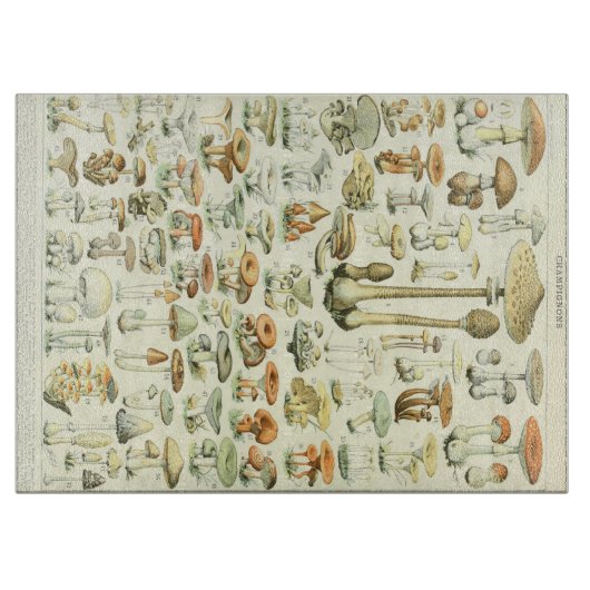 Planche à découper de champignons (Devant)