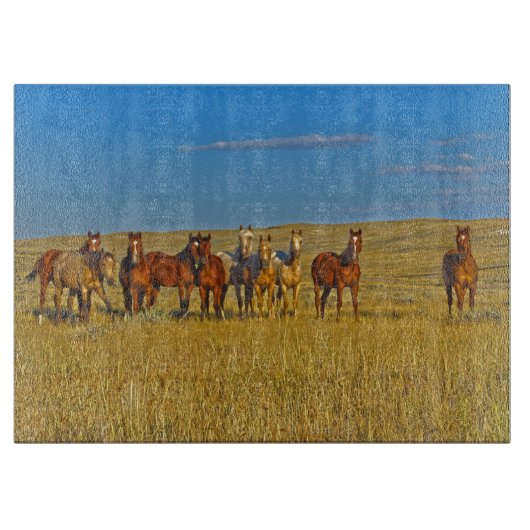 Planche à découper de cheval d'équipage de (Devant)