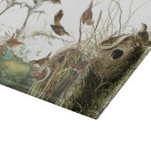 Planche à découper de faune de nids d'oiseaux de (Coin)