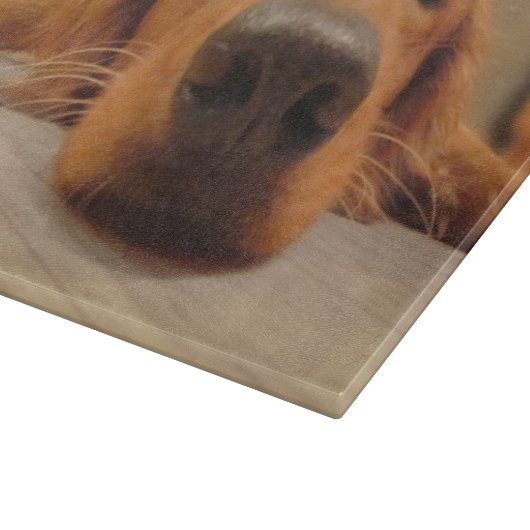 Planche à découper de golden retriever (Coin)