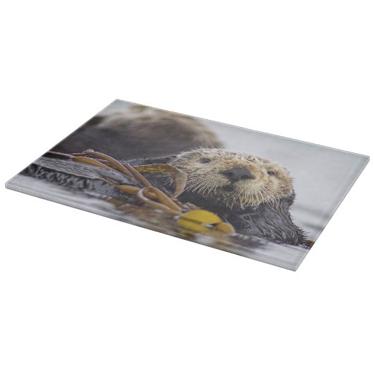 Planche à découper de surprise de loutre (Coin)