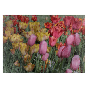Planche à découper de tulipes de ressort