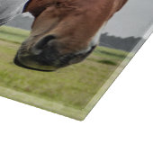 Planche À Découper Décoratif Trois Chevaux Chevaux Coupe en Verre (Coin)