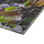 Planche À Découper dépliants sur brindilles (Coin)