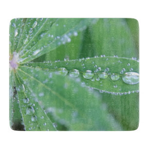 Planche À Découper Déposer