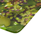 Planche À Découper Des raisins pourpres poussent sur la vigne avec du (Coin)