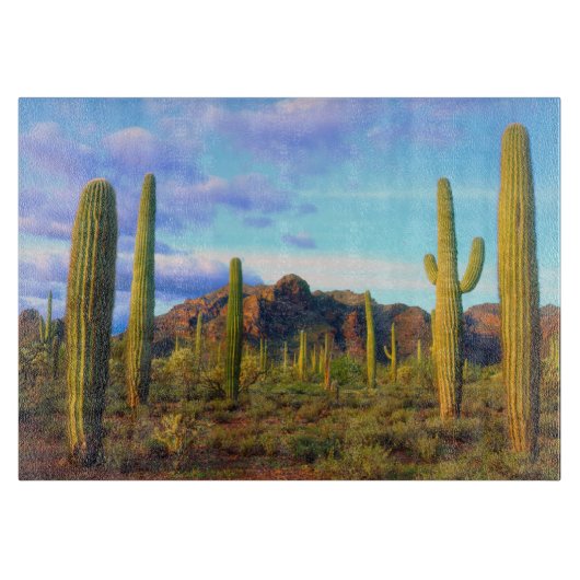 Planche À Découper Désert au printemps (Devant)