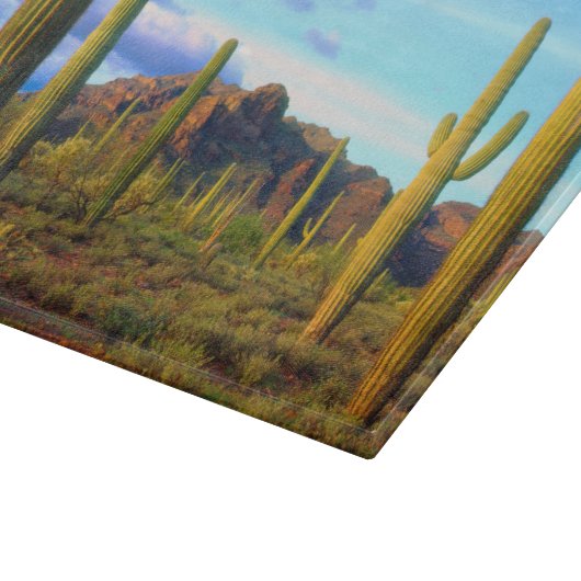 Planche À Découper Désert au printemps (Coin)