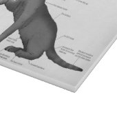 Planche À Découper Diagramme d'anatomie de chat drôle humour nerd (Coin)