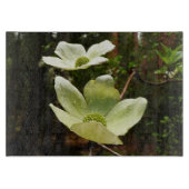Planche À Découper Dogwoods et séquoias dans le parc national Yosemit (Devant)