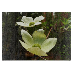 Planche À Découper Dogwoods et séquoias dans le parc national Yosemit