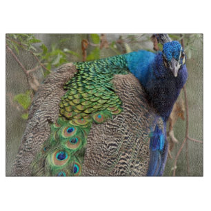 Planche à découper d'oiseau de paon