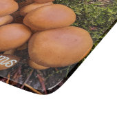 Planche À Découper Dôme Capped Champignons Brown Nature Photo (Coin)