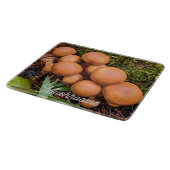 Planche À Découper Dôme Capped Champignons Brown Nature Photo (Coin)