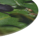 Planche À Découper Dorcus parallelipipedus, le moindre dendroctone du (Coin)