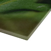 Planche À Découper Dorcus parallelipipedus, le moindre dendroctone du (Coin)