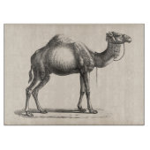 Planche À Découper Dromedary Sketch (Devant)