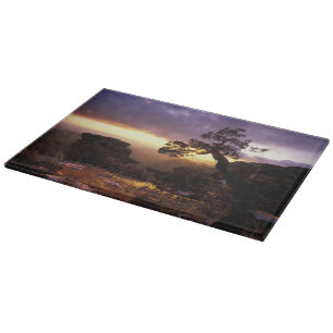 Planche À Découper É.-U., États-Unis, Arizona, Tucson, Coucher de sol
