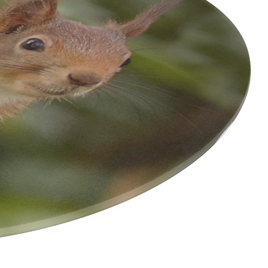 Planche À Découper Écureuil roux (Coin)