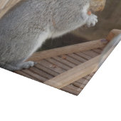 Planche À Découper Écureuil sauvage mignon en gros plan (Coin)