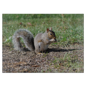 Planche À Découper Écureuil Snacking