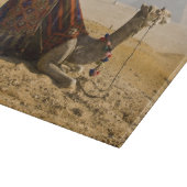 Planche À Découper Égypte, Le Caire. Un chameau solitaire (Coin)