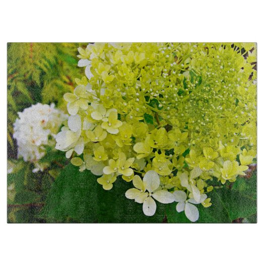 Planche À Découper Élégante Chartreuse Vert Limelight Hydrangea (Devant)