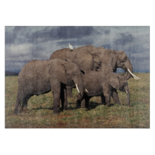 Planche À Découper Éléphant d'Afrique bébé avec sa famille