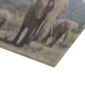 Planche À Découper Éléphant de mère marchant avec le veau d'éléphant (Coin)