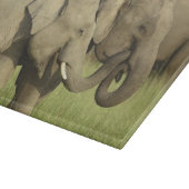 Planche À Découper Éléphants d'Asie indiens (Coin)