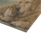 Planche à découper en verre avec chien et chat se (Coin)
