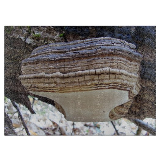Planche à découper en verre champignon Phellinus i (Devant)
