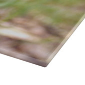 Planche à découper en verre de champignons à capuc (Coin)