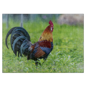 Planche à découper en verre décorative Coq pour co