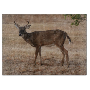 Planche à découper en verre Deer Buck Wild Art