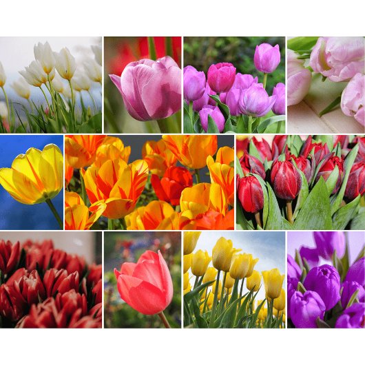 Planche à découper en verre Fleurs Décoratives