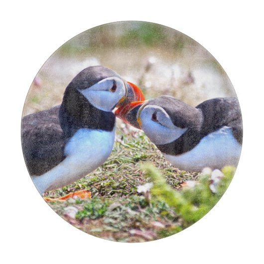 Planche à découper en verre Kissing Puffins (Devant)