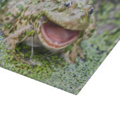 Planche à découper en verre Prince Grenouille (Coin)