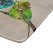 Planche à découper en verre rectangulaire Perruche (Coin)
