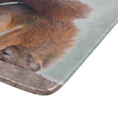 Planche à découper en verre rectangulaire Yoga Squ (Coin)