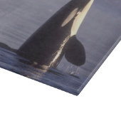 Planche À Découper Épaulard émergeant (Orque orcinus) près (Coin)