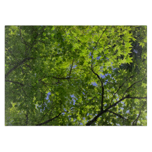 Planche À Découper Érable au printemps