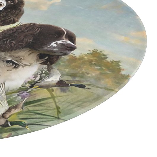 Planche À Découper Espagnol Springer anglais, Art (Coin)