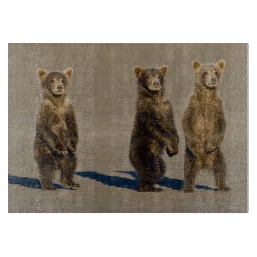 Planche À Découper États-Unis Alaska. Cubes d'ours Brown côtier (Devant)