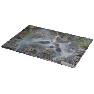 Planche À Découper États-Unis, Floride, Sanibel, Ding Darling Nationa