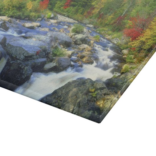 Planche À Découper États-Unis, New York. Une cascade dans l'Adirondac (Coin)